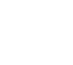 Horse Cargo
